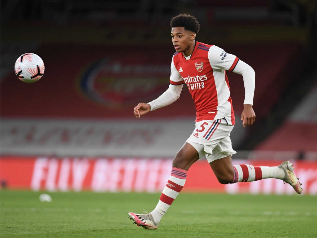 球迷的支持 球迷的支持