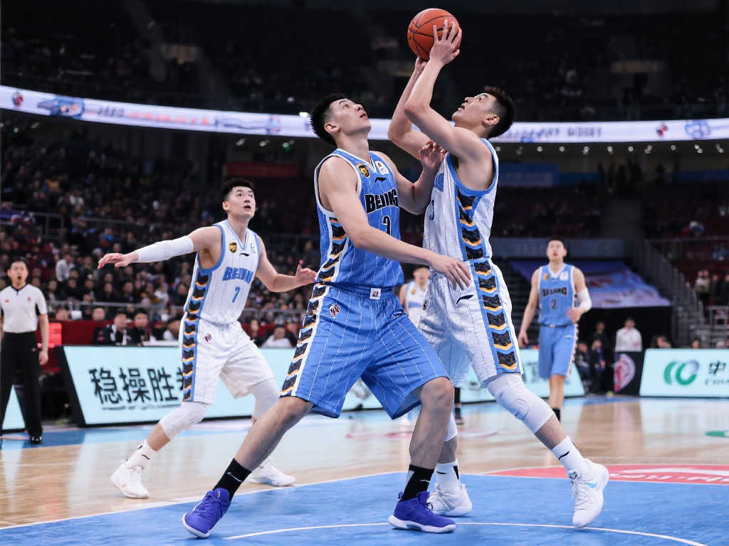 旨在突出球 旨在突出球